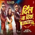 Dil Na Diya - Krrish Ka Gana Sunega (Ankush Raja)