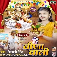 He Veena Wali