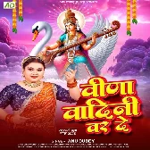 Veena Vadini War De (Anu Dubey)